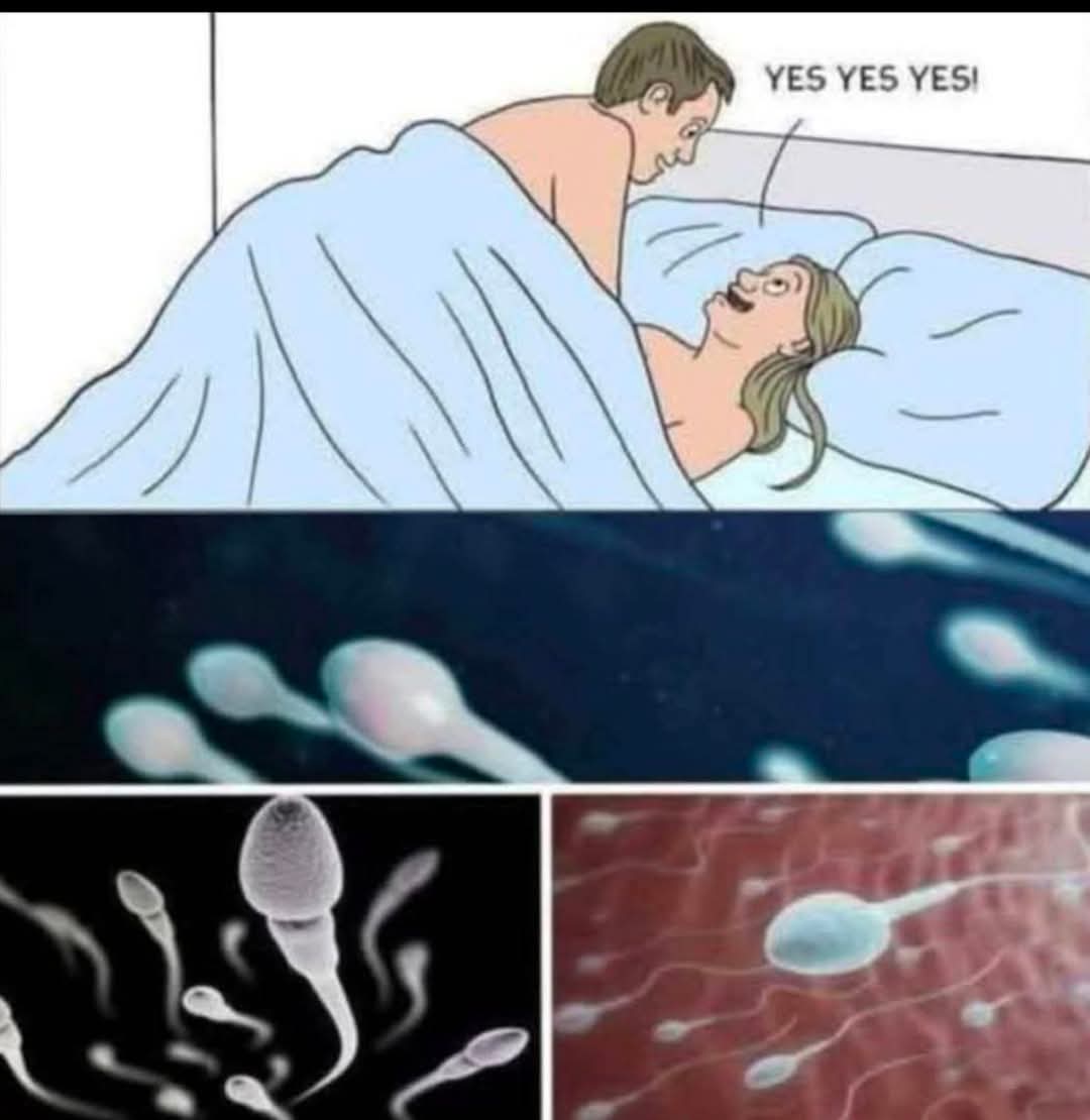 Many know! Studies reveal that swallowing your partner’s semen…See more