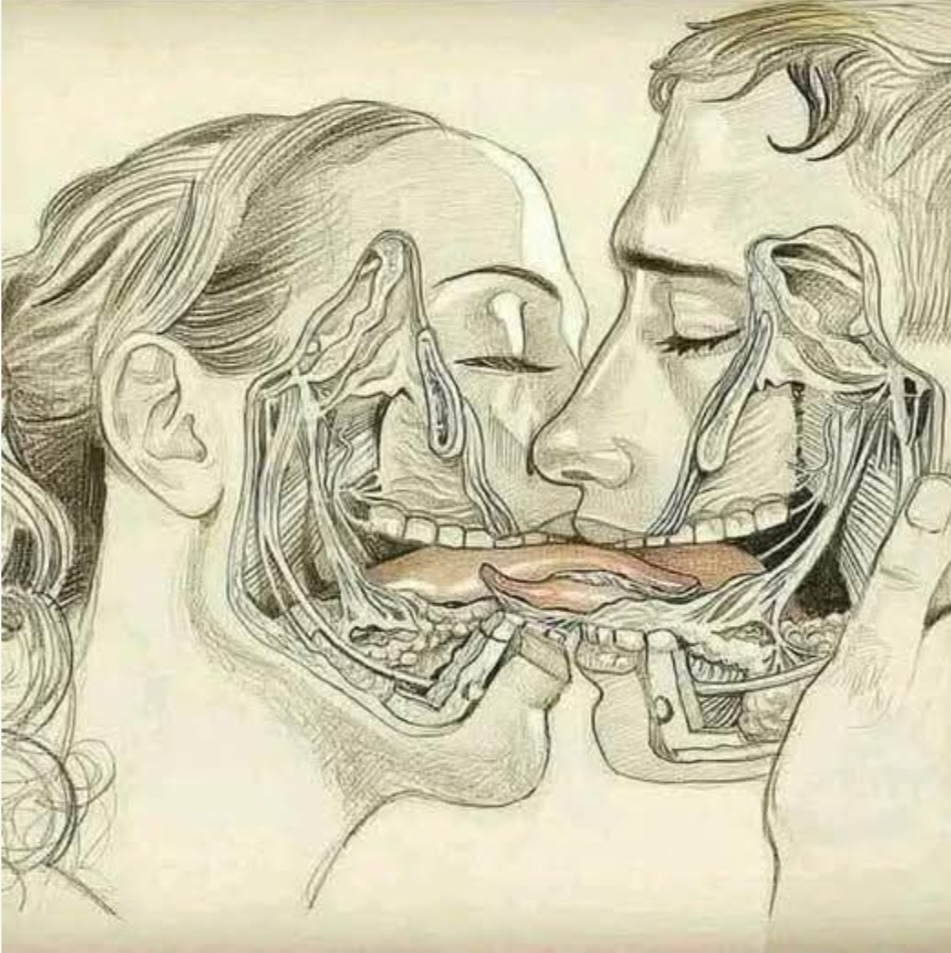 WHAT HAPPENS WHEN WE TONGUE KISS…See more